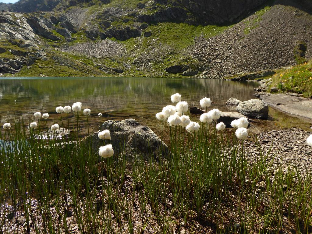 Apart Piz Mondin Pfunds Habitación foto